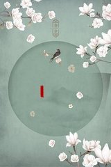 深入了解 求个网站直接能看的2025